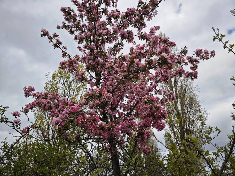 Xiaomi 13 Ultra - review sample