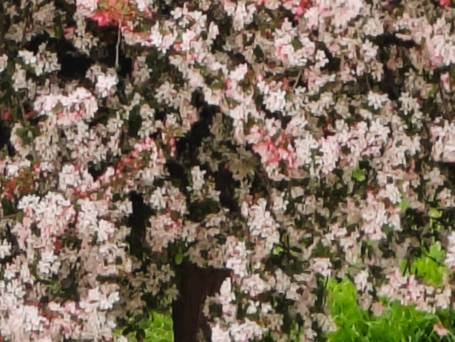 Xiaomi 13 Ultra - review sample