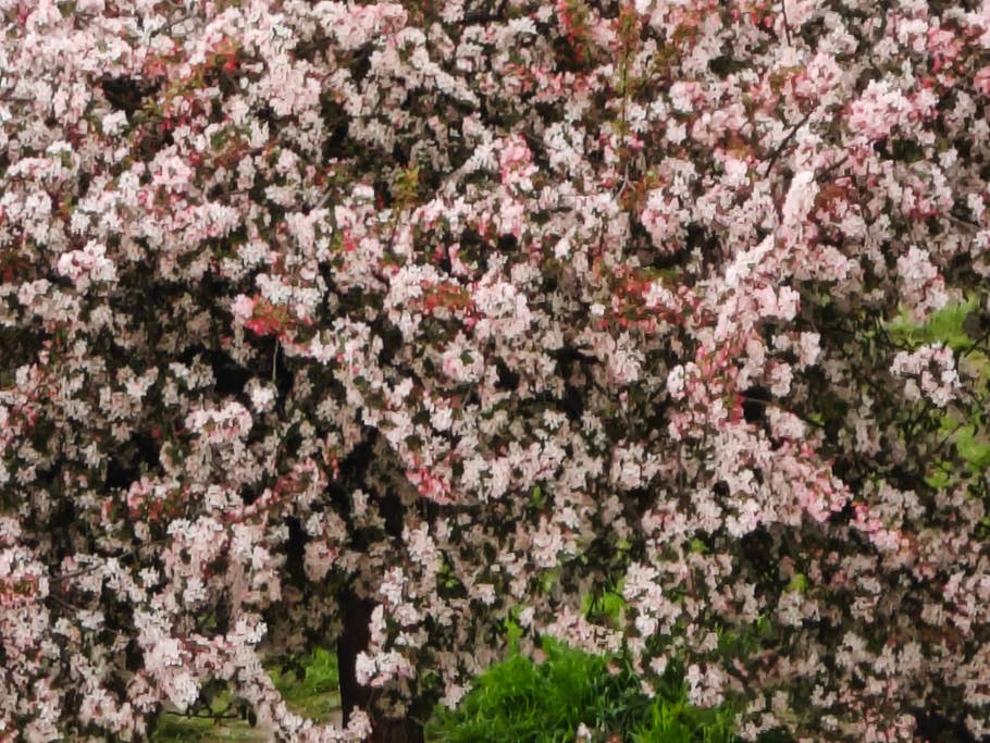 Xiaomi 13 Ultra - review sample