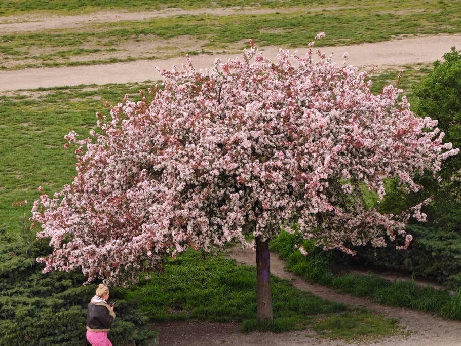 Xiaomi 13 Ultra - review sample