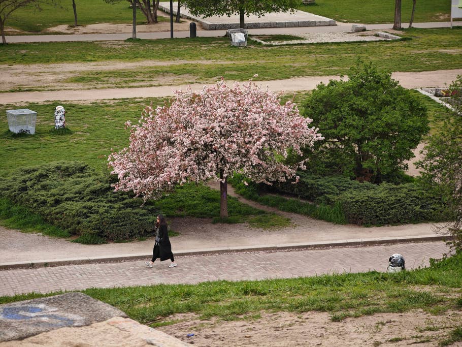 Xiaomi 13 Ultra - review sample