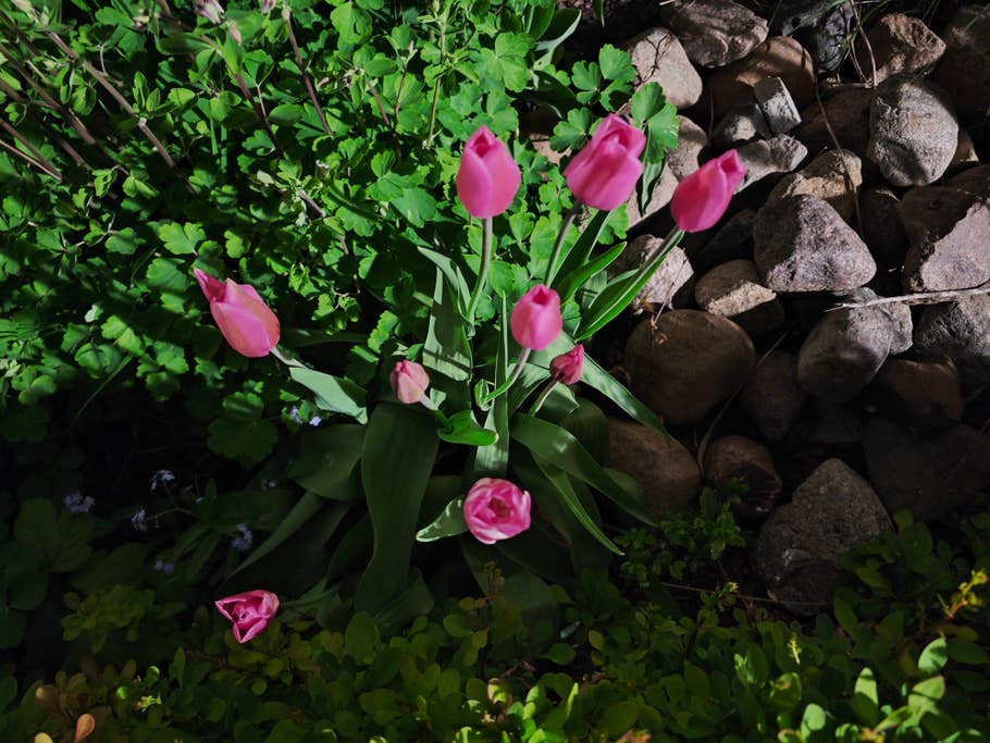 Xiaomi 13 Ultra - review sample