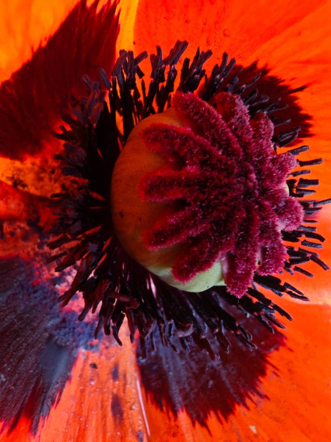 Testfotos geschossen mit der Kamera des Xiaomi 13 Ultra (global)