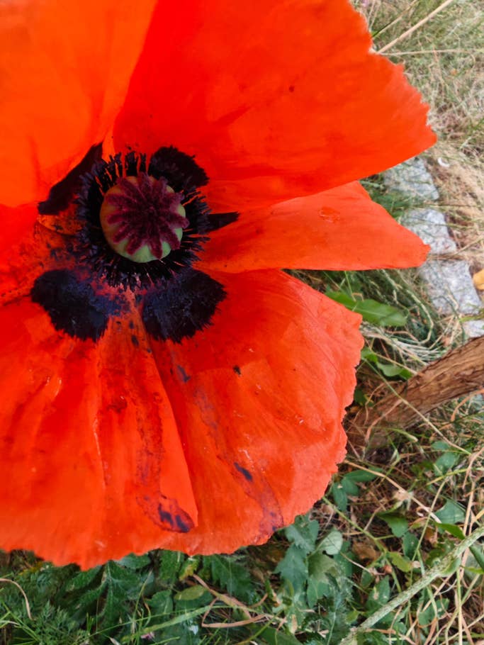 Testfotos geschossen mit der Kamera des Xiaomi 13 Ultra (global)