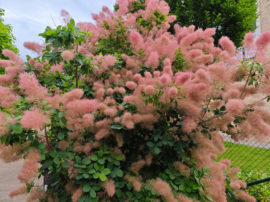 Testfotos geschossen mit der Kamera des Xiaomi 13 Ultra (global)