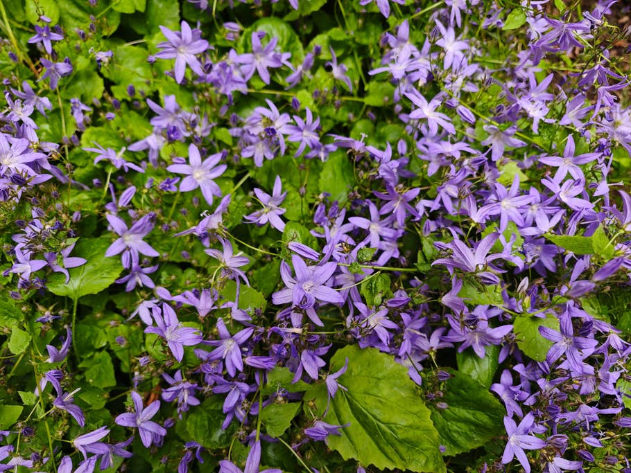 Testfotos geschossen mit der Kamera des Xiaomi 13 Ultra (global)