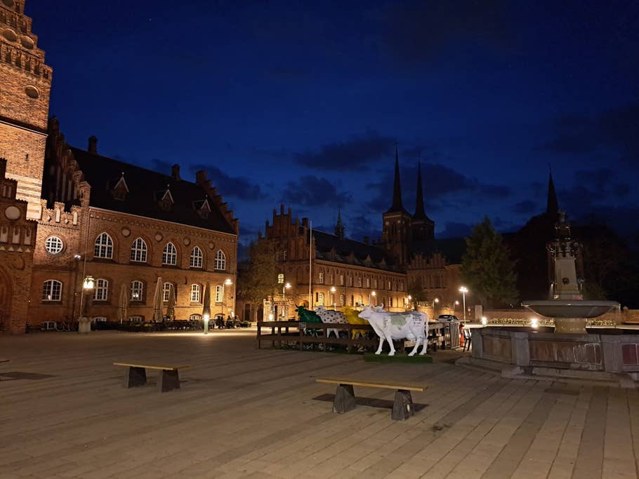 Main camera 1x - Night mode on