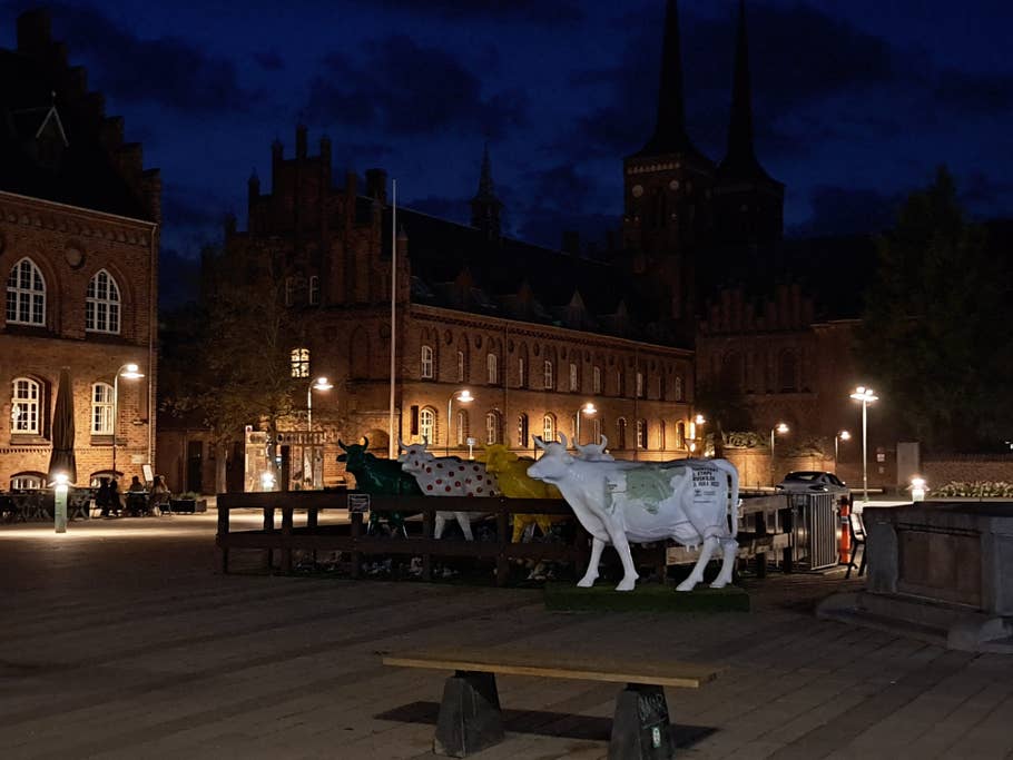 Main camera 2x - Night mode on