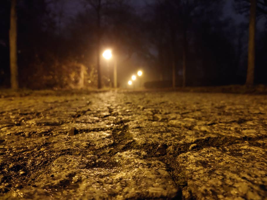 Sony Xperia 5 IV sample photo