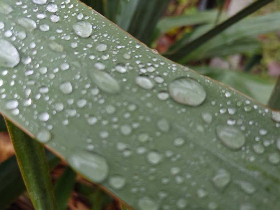 Sony Xperia 5 IV sample photo