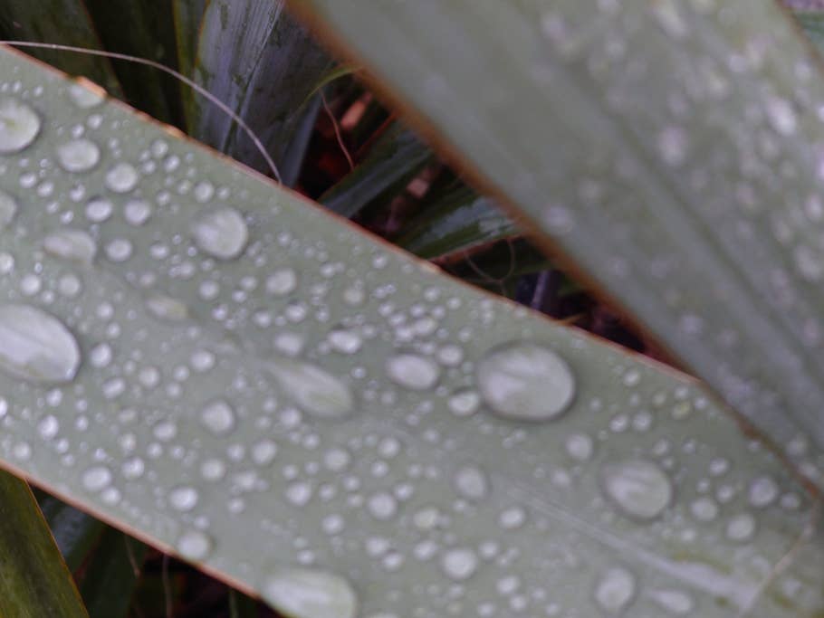 Sony Xperia 5 IV sample photo