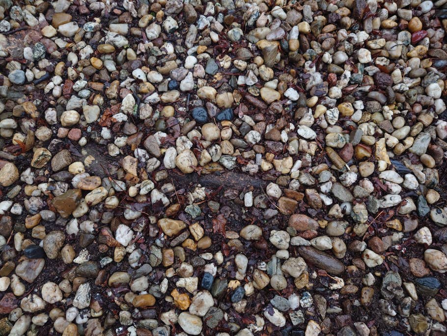 Sony Xperia 5 IV sample photo