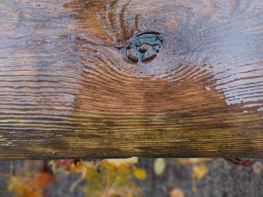 Sony Xperia 5 IV sample photo