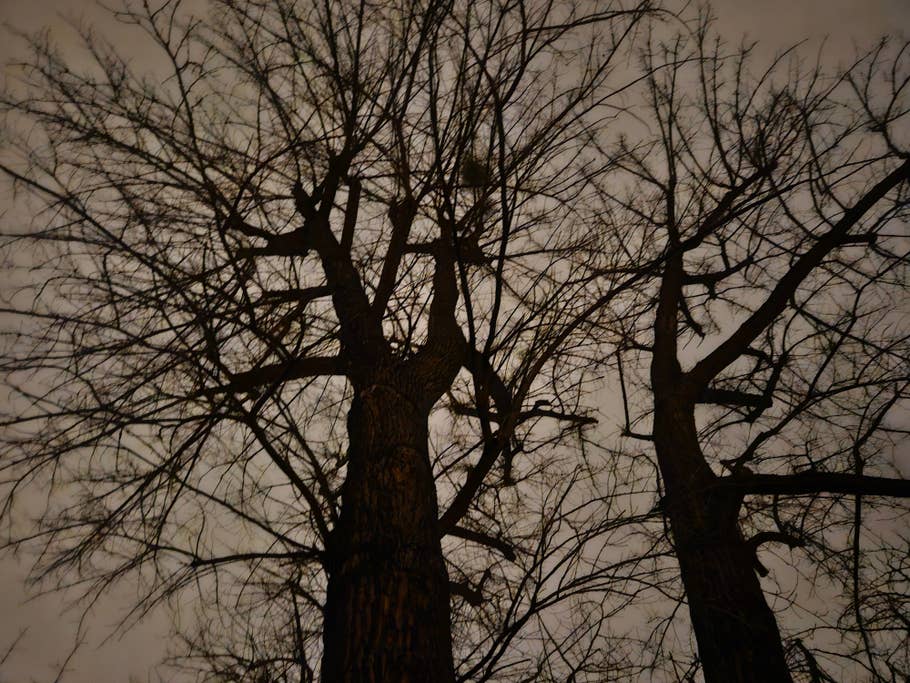 Samsung Galaxy S23 photo gallery