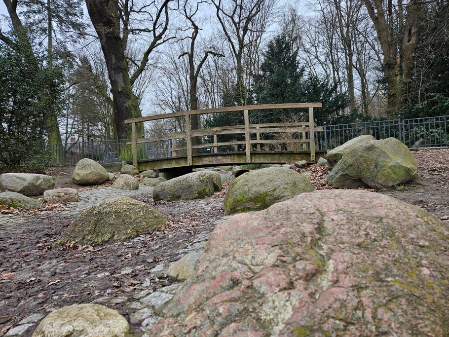 Samsung Galaxy S23 photo gallery