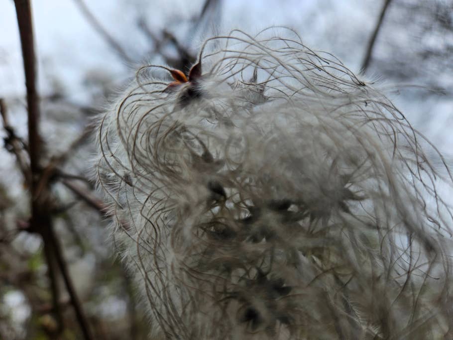 Samsung Galaxy S23 photo gallery