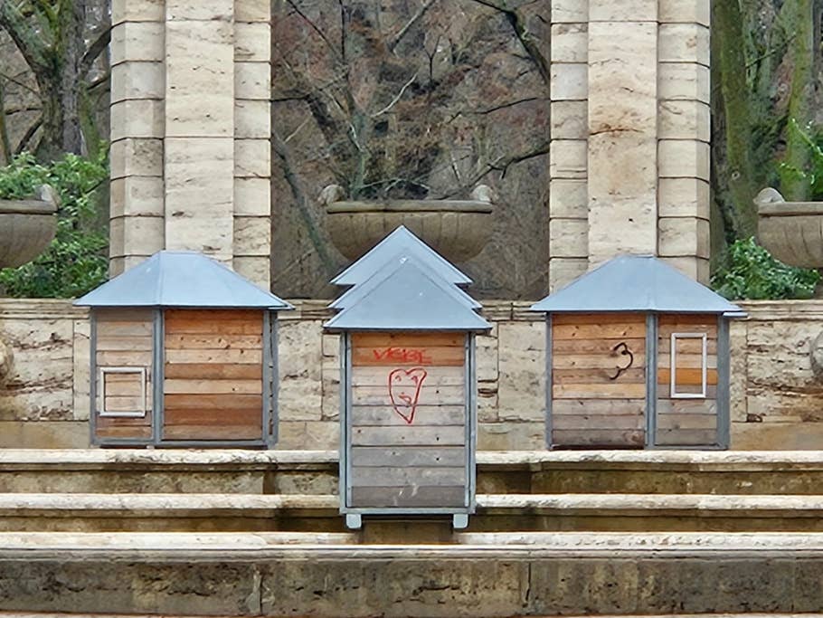 Samsung Galaxy S23 photo gallery