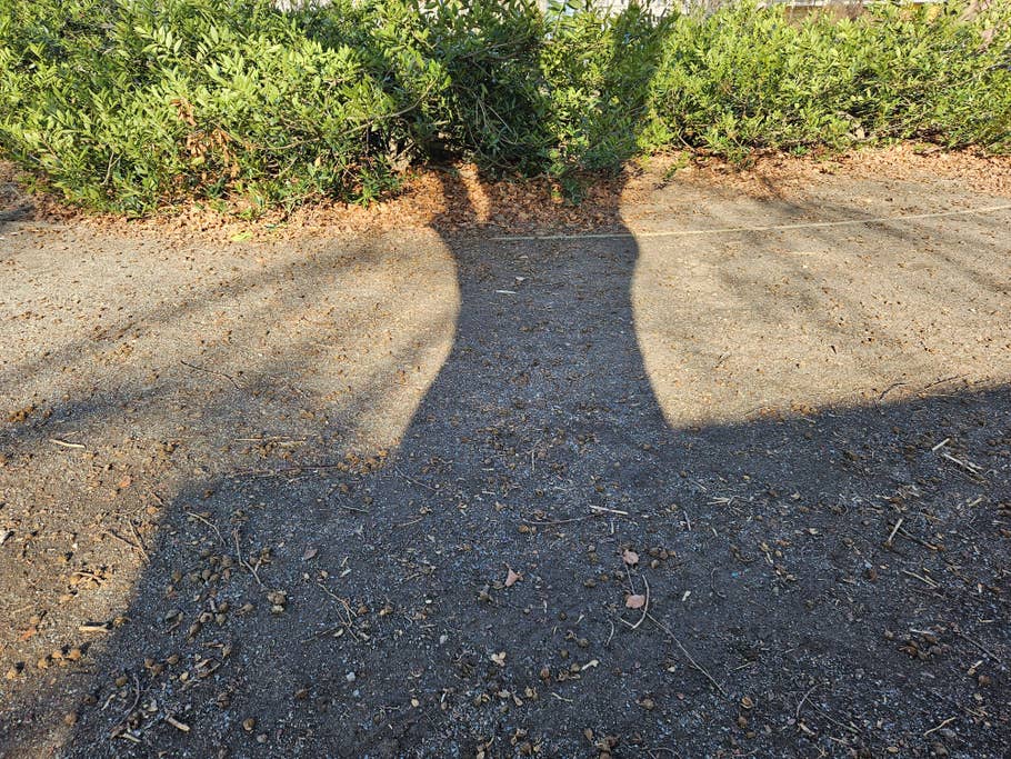 Samsung Galaxy S23 photo gallery