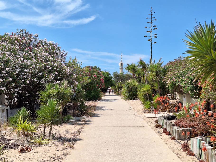 Samsung Galaxy A54 review sample: 2x digital zoom