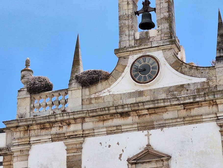 Samsung Galaxy A54 review sample: 4x digital zoom