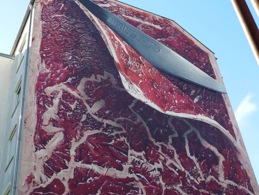 Main camera (2x sensor zoom)