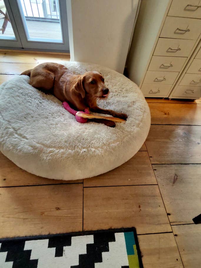 Ray-Ban Meta Smart Glasses camera test