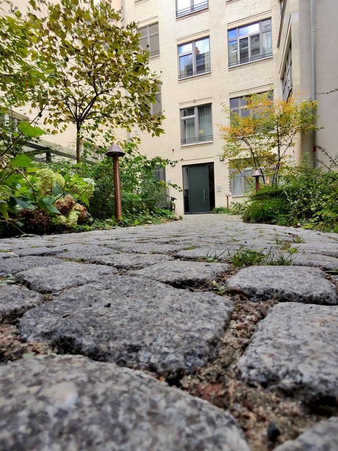 Ray-Ban Meta Smart Glasses camera test