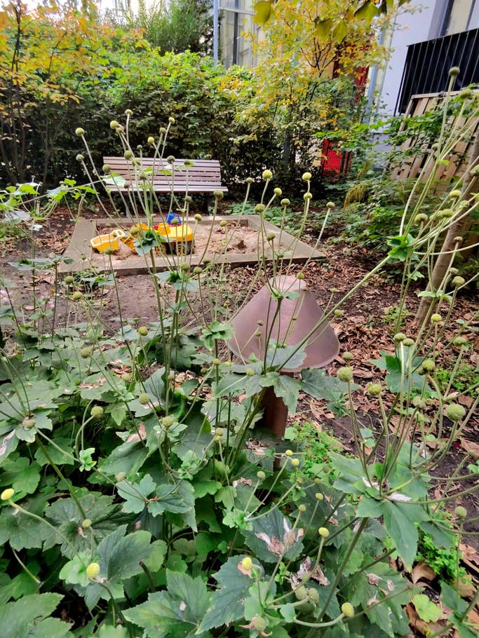 Ray-Ban Meta Smart Glasses camera test