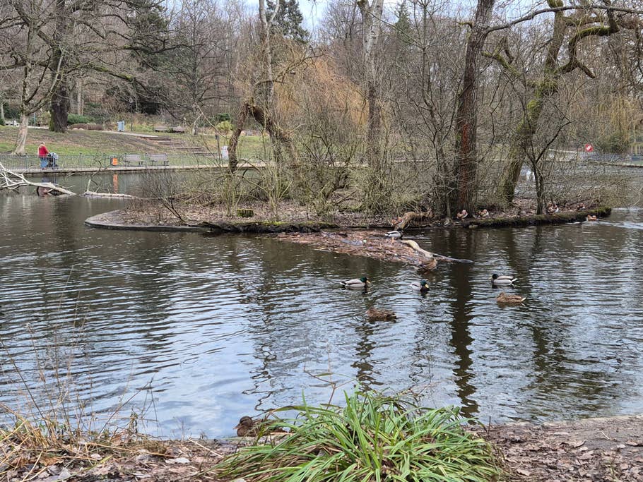 Test photos taken with the Samsung Galaxy S24 camera