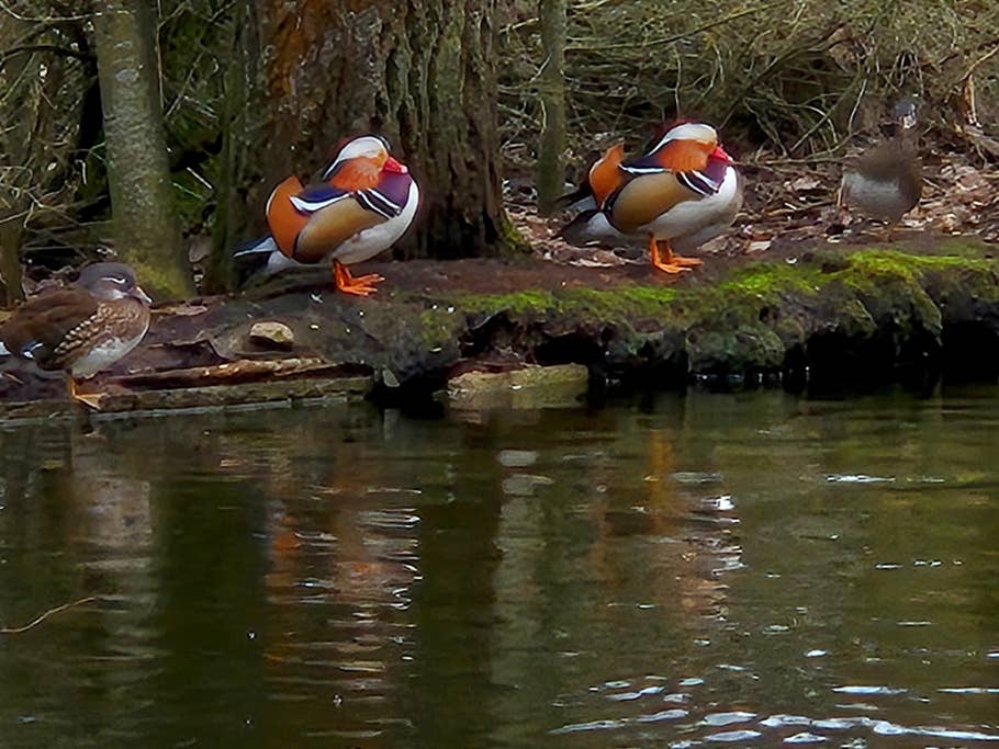 Test photos taken with the Samsung Galaxy S24 camera