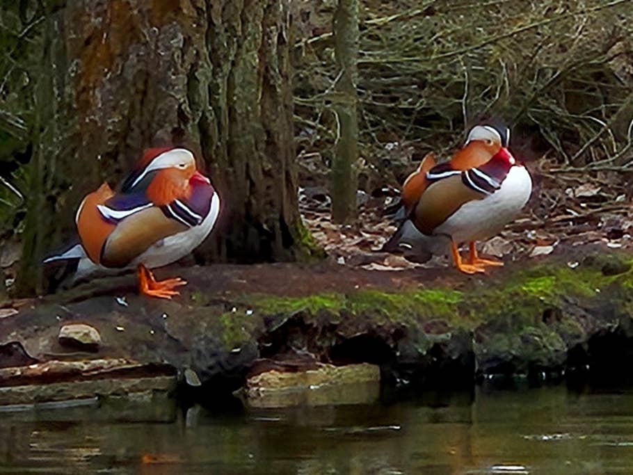 Test photos taken with the Samsung Galaxy S24 camera