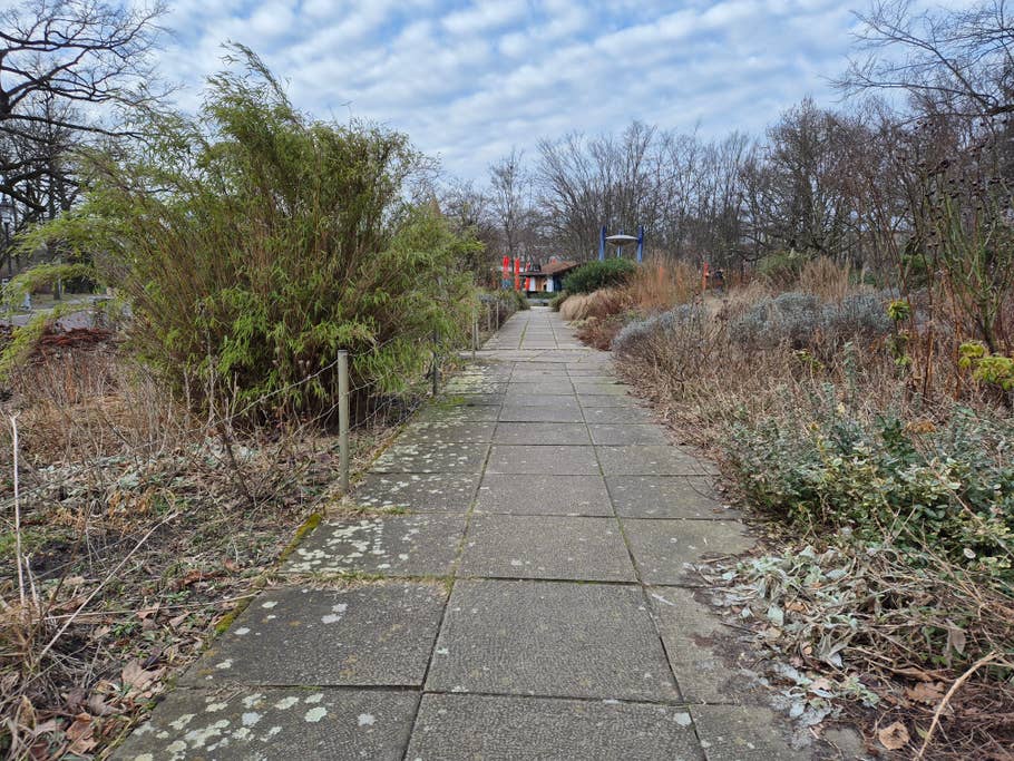 Test photos taken with the Samsung Galaxy S24 camera