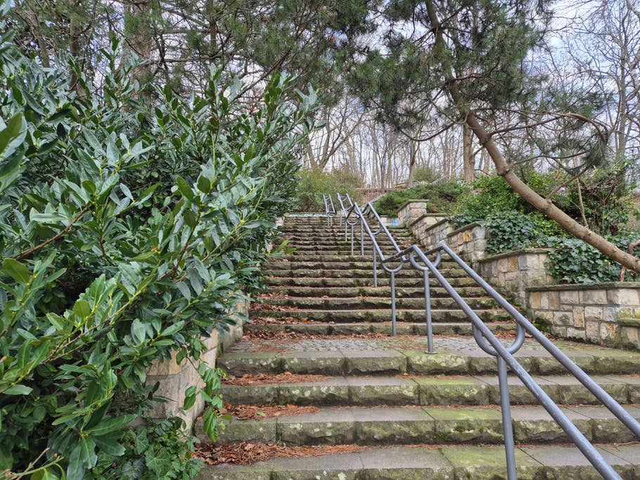 Test photos taken with the Samsung Galaxy S24 camera