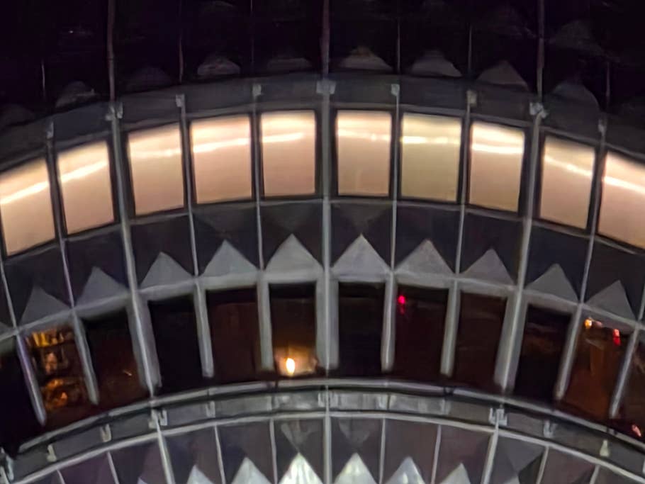 Samsung Galaxy S25 Ultra: Main camera (30x digital zoom)