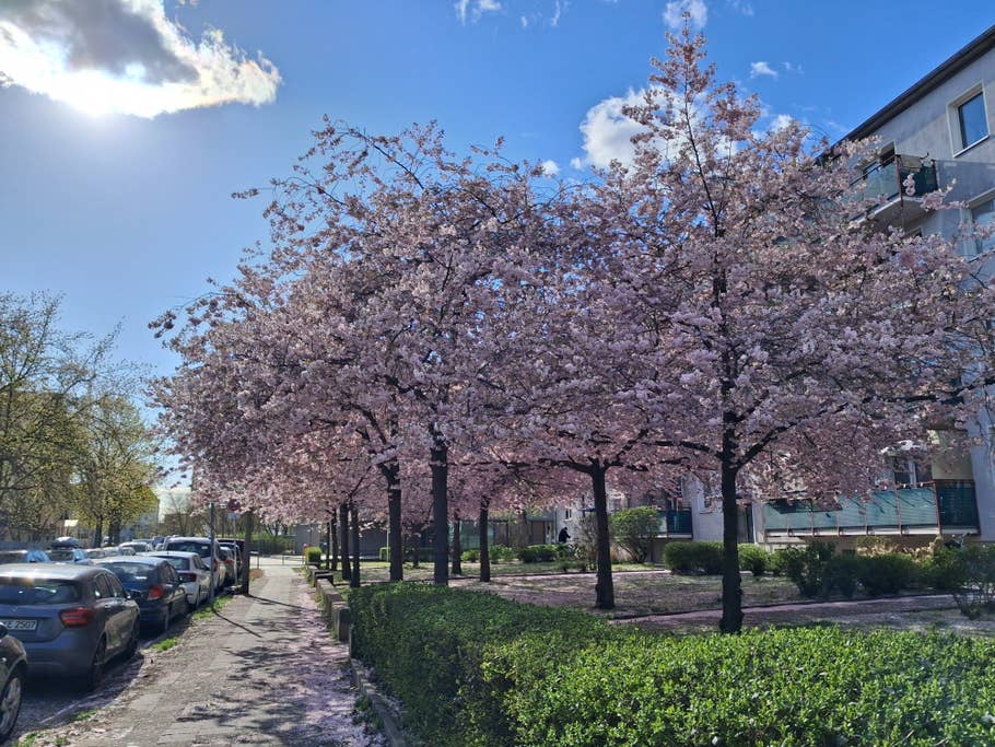 Samsung Galaxy A26: Main camera