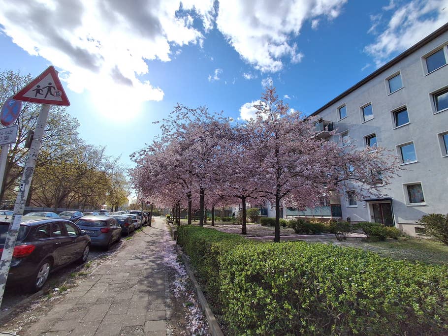 Samsung Galaxy A26: Ultra-wide-angle camera (0.5x)