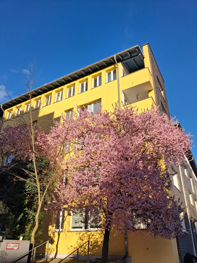 Samsung Galaxy A26: Main camera