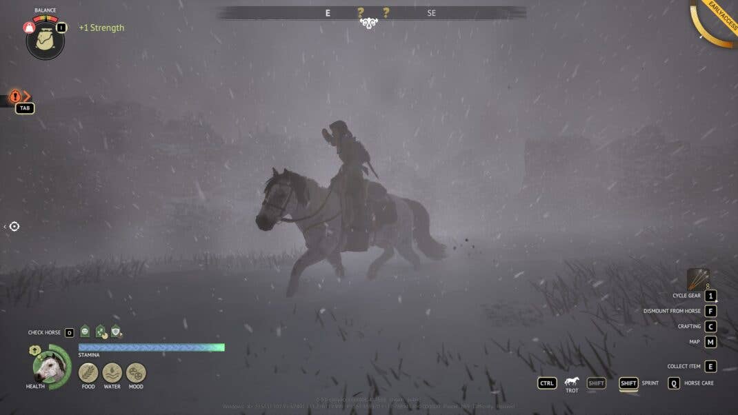 A horse riding through a snow storm.