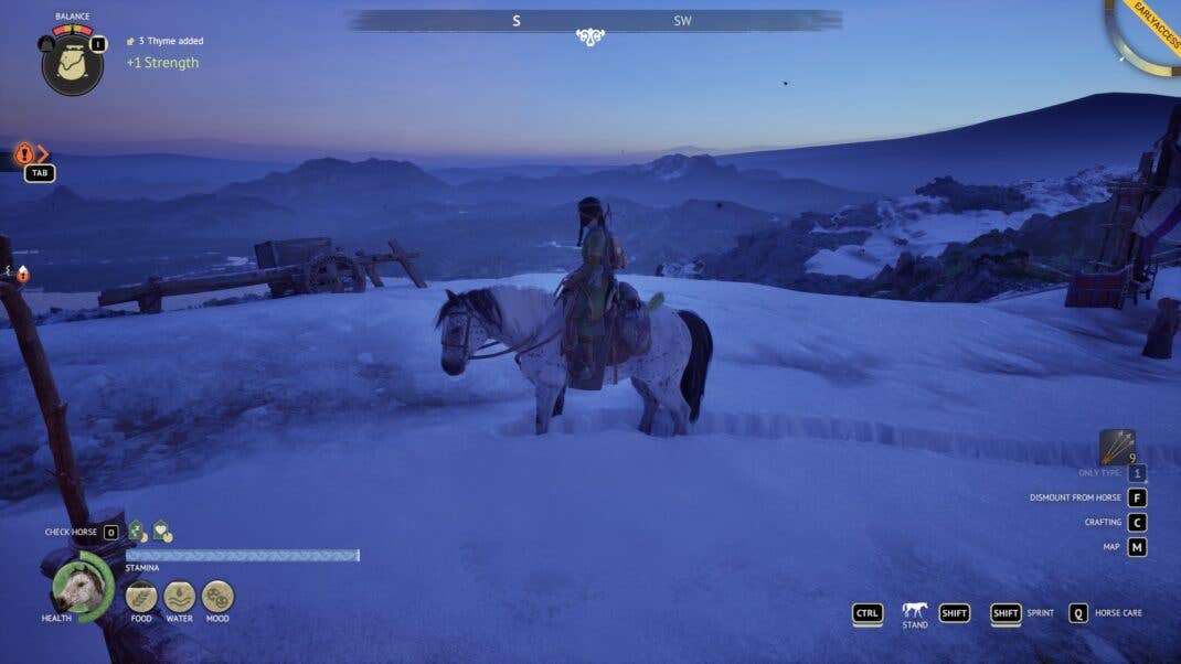 A horse standing on top of a snowy mountain.