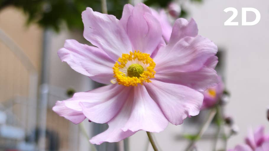 200 megapixel blind test photo