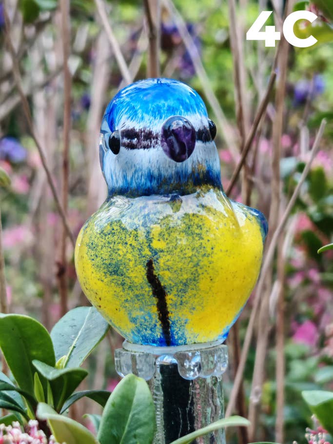 Camera Blindtest H1 2024 – Photo Gallery