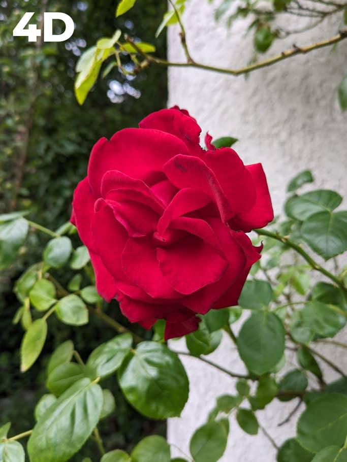 Camera blind test: Photo 4D