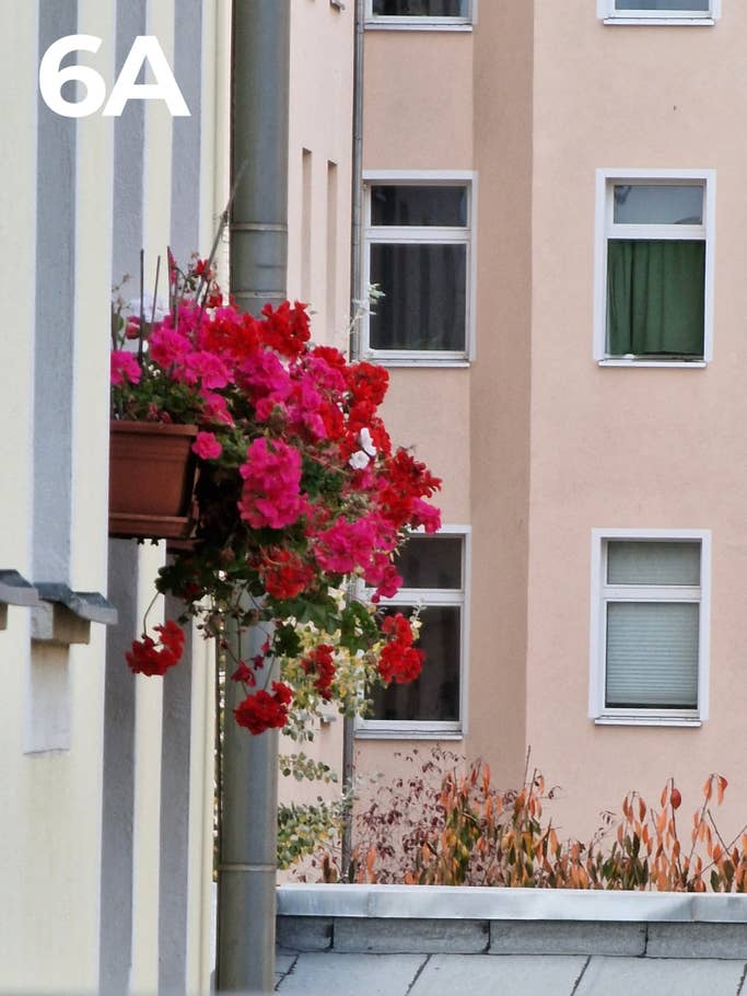 Camera Blind Test 2022