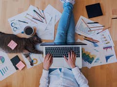 Home Office with a cat