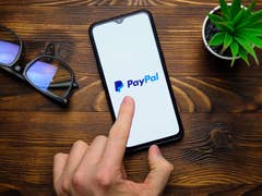 A hand pointing at a smartphone displaying the PayPal logo, with glasses and a small plant nearby.