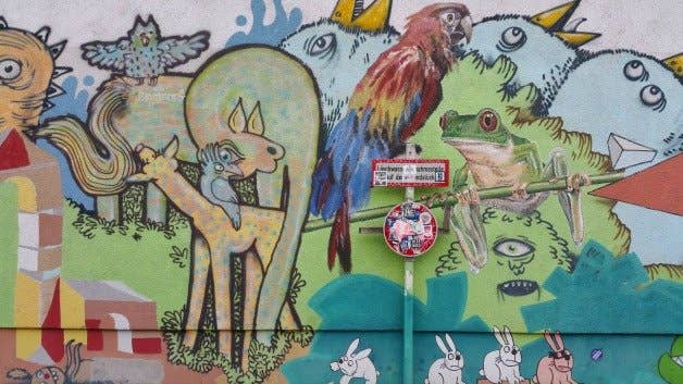 samsung, galaxy, note 4, camera, photo, image, picture