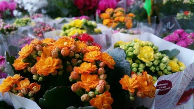 samsung, galaxy, note 4, camera, photo, image, picture