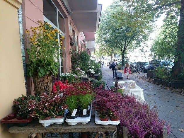 AndroidPIT Sony Xperia Z3 Compact photo