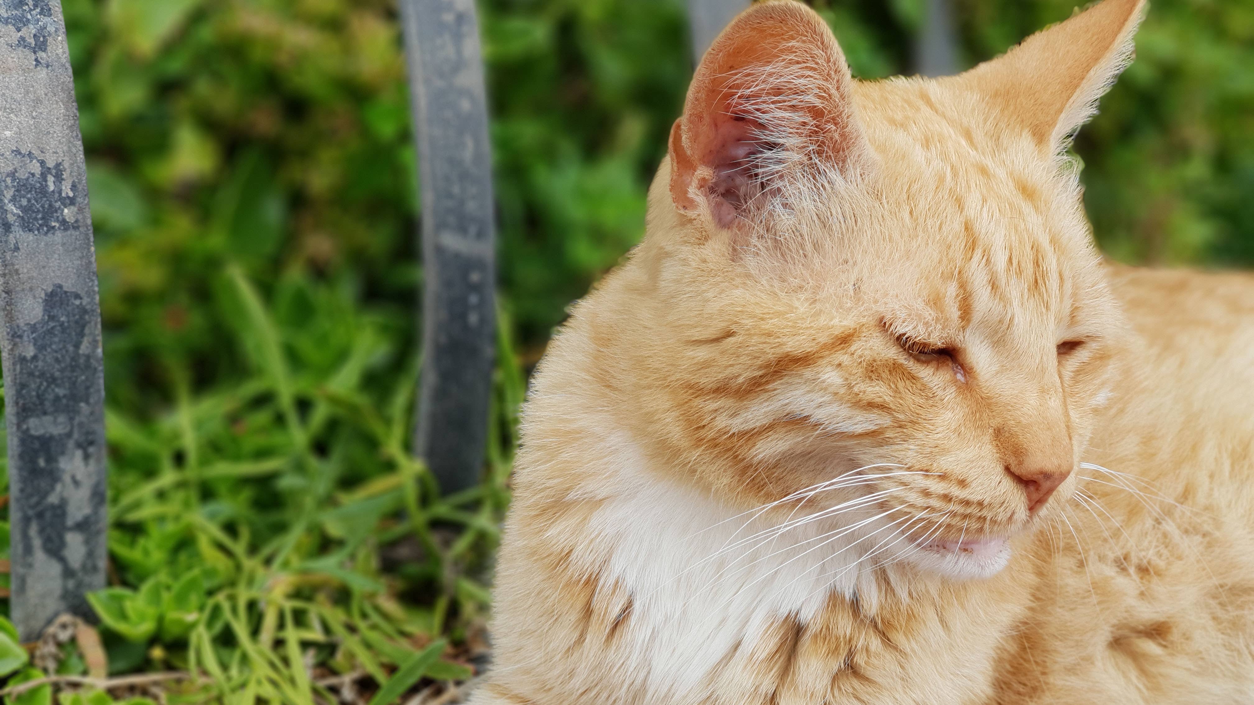 AndroidPIT samsung galaxy s9 plus portrait