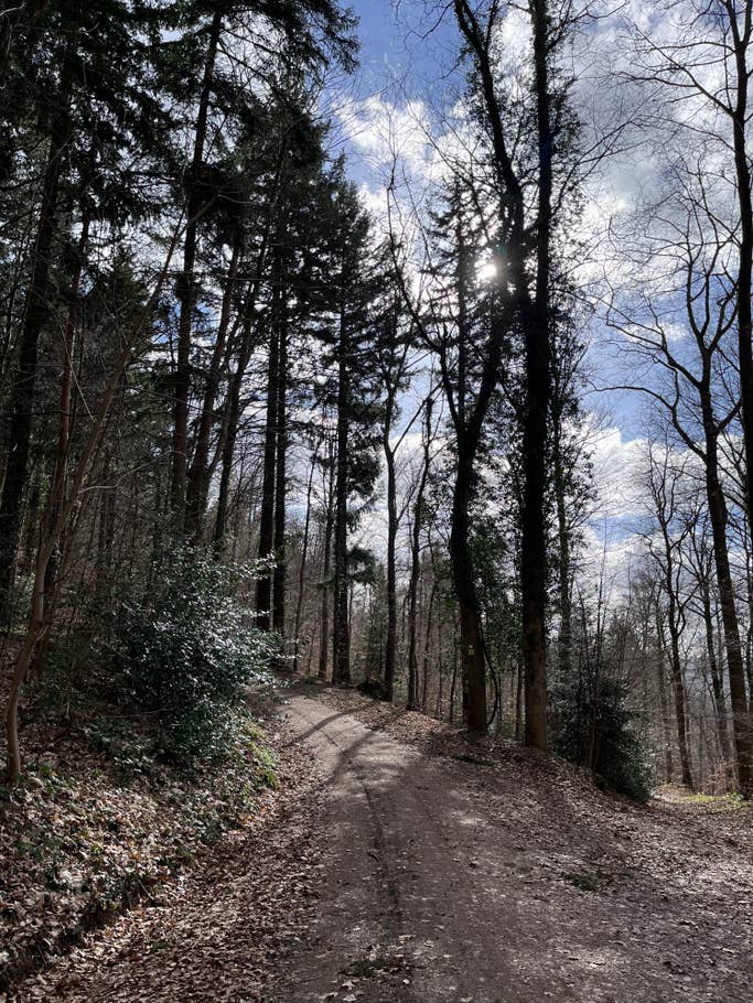 iPhone 13 mini photo gallery